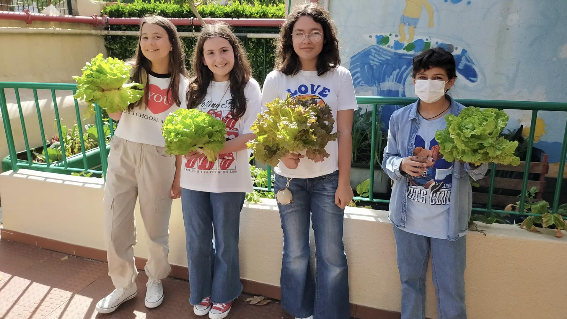 6.º ANO JÁ ESTÁ A COLHER LEGUMES